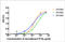 C-X-C Motif Chemokine Ligand 10 antibody, LS-C203237, Lifespan Biosciences, Enzyme Linked Immunosorbent Assay image 