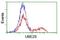 Ubiquitin Conjugating Enzyme E2 S antibody, NBP2-46279, Novus Biologicals, Flow Cytometry image 