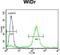 ADAM Like Decysin 1 antibody, GTX80550, GeneTex, Flow Cytometry image 