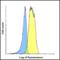 Lymphocyte Activating 3 antibody, RF16084, ProSci, Flow Cytometry image 