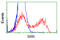 Serine Racemase antibody, LS-C114997, Lifespan Biosciences, Flow Cytometry image 