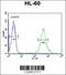 Cysteine-rich protein 1 antibody, 61-633, ProSci, Flow Cytometry image 