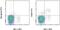 KLRD1 antibody, 11-0941-82, Invitrogen Antibodies, Flow Cytometry image 