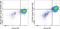 Sialic Acid Binding Ig Like Lectin 1 antibody, 62-1699-42, Invitrogen Antibodies, Flow Cytometry image 