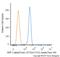 Forkhead Box A1 antibody, NBP2-54414JF646, Novus Biologicals, Flow Cytometry image 