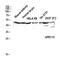 Probable G-protein coupled receptor 173 antibody, GTX33974, GeneTex, Western Blot image 