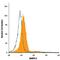 Bone Morphogenetic Protein Receptor Type 2 antibody, AF811, R&D Systems, Flow Cytometry image 