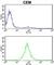 Proteasome 26S Subunit, Non-ATPase 7 antibody, abx031787, Abbexa, Western Blot image 