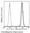 Aminoacylase-1 antibody, 10549-R006-F, Sino Biological, Flow Cytometry image 