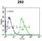 Kallikrein Related Peptidase 7 antibody, abx032803, Abbexa, Flow Cytometry image 