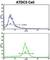 Proline Dehydrogenase 1 antibody, abx034031, Abbexa, Western Blot image 