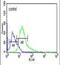 Rho GTPase Activating Protein 30 antibody, PA5-24919, Invitrogen Antibodies, Flow Cytometry image 