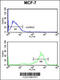 Tubulin Beta 1 Class VI antibody, 63-746, ProSci, Flow Cytometry image 