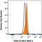 C-X-C Motif Chemokine Ligand 13 antibody, IC801P, R&D Systems, Flow Cytometry image 