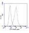 ATP Citrate Lyase antibody, LS-C393512, Lifespan Biosciences, Flow Cytometry image 