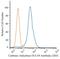 Carbonic Anhydrase 9 antibody, NBP1-51691, Novus Biologicals, Flow Cytometry image 