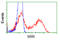 Serine Racemase antibody, LS-C115000, Lifespan Biosciences, Flow Cytometry image 