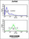 Transcription Factor AP-4 antibody, 61-931, ProSci, Flow Cytometry image 