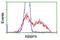 RB Binding Protein 9, Serine Hydrolase antibody, NBP2-03025, Novus Biologicals, Flow Cytometry image 