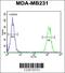 p58 NK receptor CL-43 antibody, 62-041, ProSci, Flow Cytometry image 