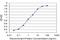 Spi-1 Proto-Oncogene antibody, H00006688-M02, Novus Biologicals, Enzyme Linked Immunosorbent Assay image 