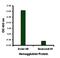 Avian Influenza Hemagglutinin 1 antibody, orb74582, Biorbyt, Enzyme Linked Immunosorbent Assay image 