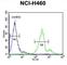 Lysosomal Protein Transmembrane 5 antibody, abx025582, Abbexa, Western Blot image 