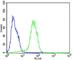 Epithelial Cell Adhesion Molecule antibody, F53038-0.4ML, NSJ Bioreagents, Flow Cytometry image 