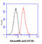 Eukaryotic Translation Initiation Factor 5A antibody, GTX57567, GeneTex, Flow Cytometry image 