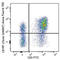 CD17 antibody, 353244, BioLegend, Flow Cytometry image 