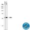 NFKB Inhibitor Alpha antibody, MAB4299, R&D Systems, Western Blot image 