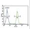 Tyrosinase antibody, LS-C160356, Lifespan Biosciences, Flow Cytometry image 