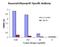 Seasonal H1N1 Neuraminidase antibody, orb75891, Biorbyt, Enzyme Linked Immunosorbent Assay image 