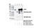 Heat Shock Transcription Factor 1 antibody, 12972S, Cell Signaling Technology, Immunoprecipitation image 