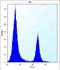 Carbonyl Reductase 3 antibody, abx027078, Abbexa, Flow Cytometry image 