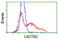 Lactamase Beta 2 antibody, TA502580, Origene, Flow Cytometry image 