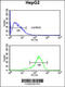 Atlastin GTPase 2 antibody, 63-912, ProSci, Flow Cytometry image 