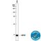 Chaperonin-10 antibody, AF2584, R&D Systems, Western Blot image 