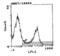 Ig kappa chain C region, A allele antibody, SA5-10179, Invitrogen Antibodies, Flow Cytometry image 