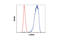 Beta-Actin antibody, 8457P, Cell Signaling Technology, Flow Cytometry image 