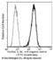 Interleukin 33 antibody, 10368-R002, Sino Biological, Flow Cytometry image 