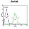 Transmembrane Protein 150A antibody, abx034340, Abbexa, Flow Cytometry image 