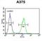 Actin Related Protein 2 antibody, abx032856, Abbexa, Flow Cytometry image 