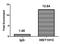 Histone Cluster 1 H1 Family Member C antibody, orb516382, Biorbyt, Chromatin Immunoprecipitation image 