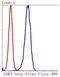 Glycogen Synthase Kinase 3 Beta antibody, NBP2-67448, Novus Biologicals, Flow Cytometry image 