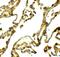 UV Radiation Resistance Associated antibody, A02385, Boster Biological Technology, Immunohistochemistry paraffin image 