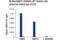 Euchromatic Histone Lysine Methyltransferase 2 antibody, 68851S, Cell Signaling Technology, Chromatin Immunoprecipitation image 