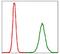 Protein Phosphatase 2 Phosphatase Activator antibody, GTX60539, GeneTex, Flow Cytometry image 