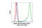 Rabbit IgG antibody, 2975S, Cell Signaling Technology, Flow Cytometry image 