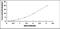 Centromere Protein E antibody, MBS2019092, MyBioSource, Enzyme Linked Immunosorbent Assay image 